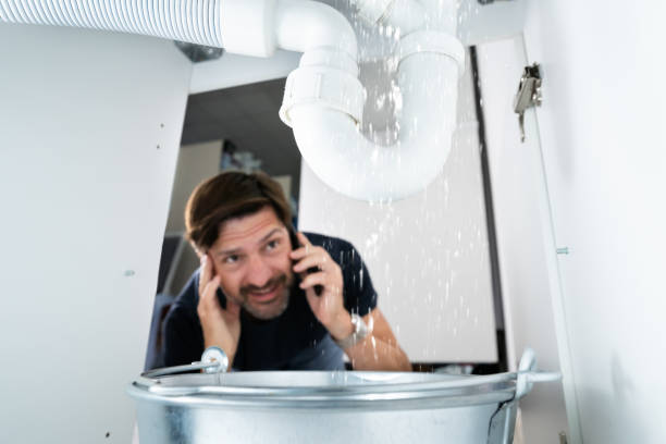 Best Leak Detection Services  in Fennville, MI
