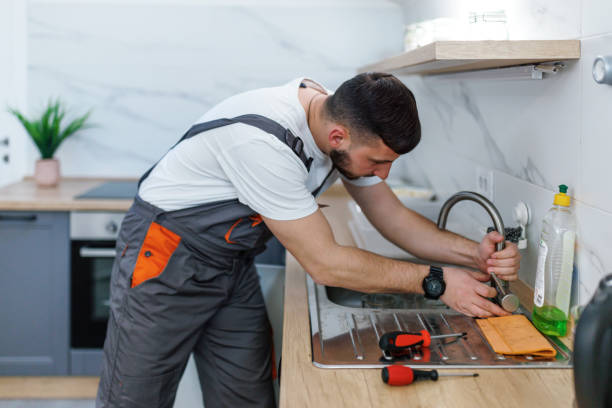 Best Residential Plumbing Services  in Fennville, MI