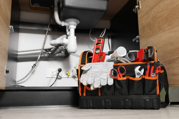 Best Clogged Drain Plumber  in Fennville, MI