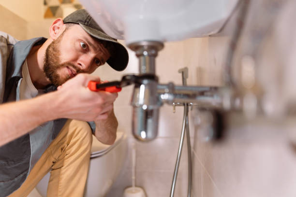 Best Septic Systems  in Fennville, MI